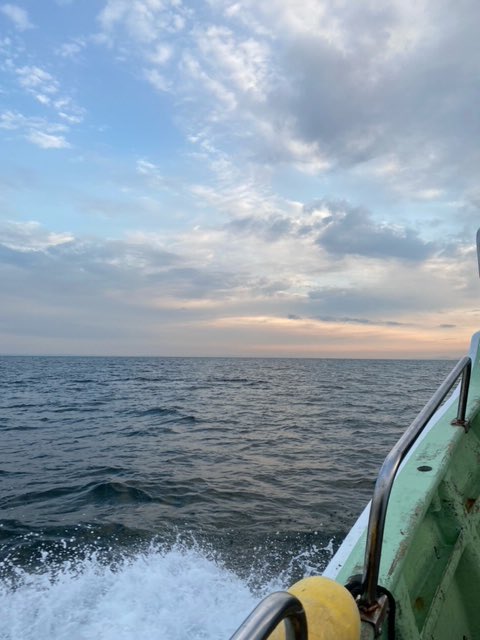 nagatama028's tweet photo. 本日の釣果
ジグとキャスティングでツバスを各１匹、タイラバではホウボウが２匹。
タイラバはヒットはあるものの乗せきれず。残念
#zenith
#current line
#shimano
#oseajiggerLJ
#jackall
#binbinstick
#tanajig
#あいや〜ジグ
#START
#替ユニット
#bozles
#TGヘッド https://t.co/KTUKTSzMoe
