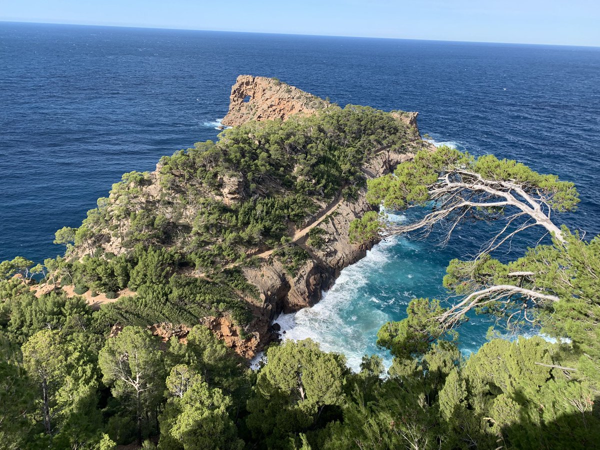 ainhoacorpasuib's tweet photo. Excursión del domingo pasado a Sa Foradada. Muy recomendable para hacer con niños y niñas y muy bonita!🚶🏻‍♀️🚶🏻‍♂️⛰ 
@EFsaludable_UIB #22121_UIB https://t.co/kdw7sp5qmE