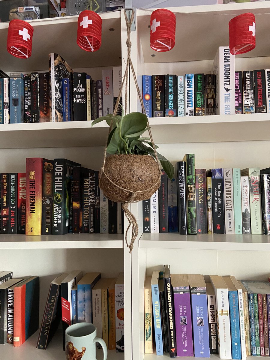 I got a hangy coconut! #HangingPlants #Babylon #Plants #CoconutPlanter #Books #Shelfie #Bookshelf #swiss #office #IndoorPlants #GreenWorkSpace