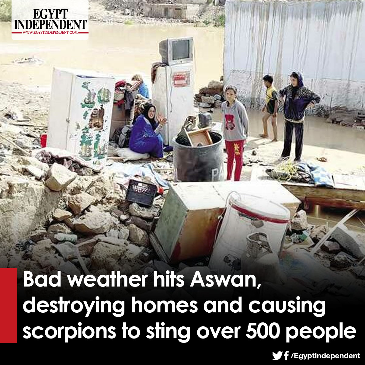 Three people killed and hundreds injured from scorpion stings during(02)