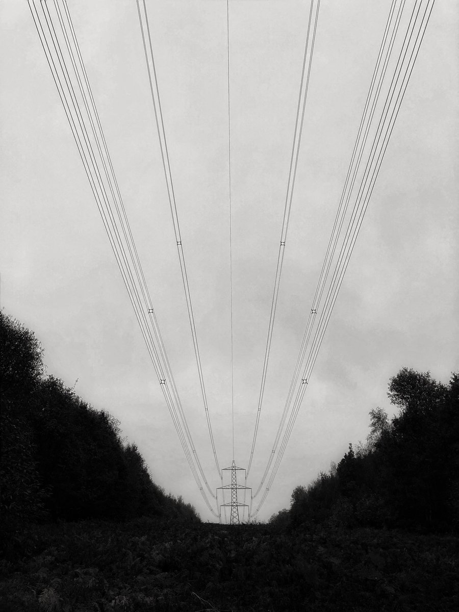 Towerblockmetal's tweet photo. Treeton wood Sheffield, earlier this morning #sidfletcher #towerblockmetal #blackandwhite #sheffield @Towerblockmetal https://t.co/R3Q6nwfeiv