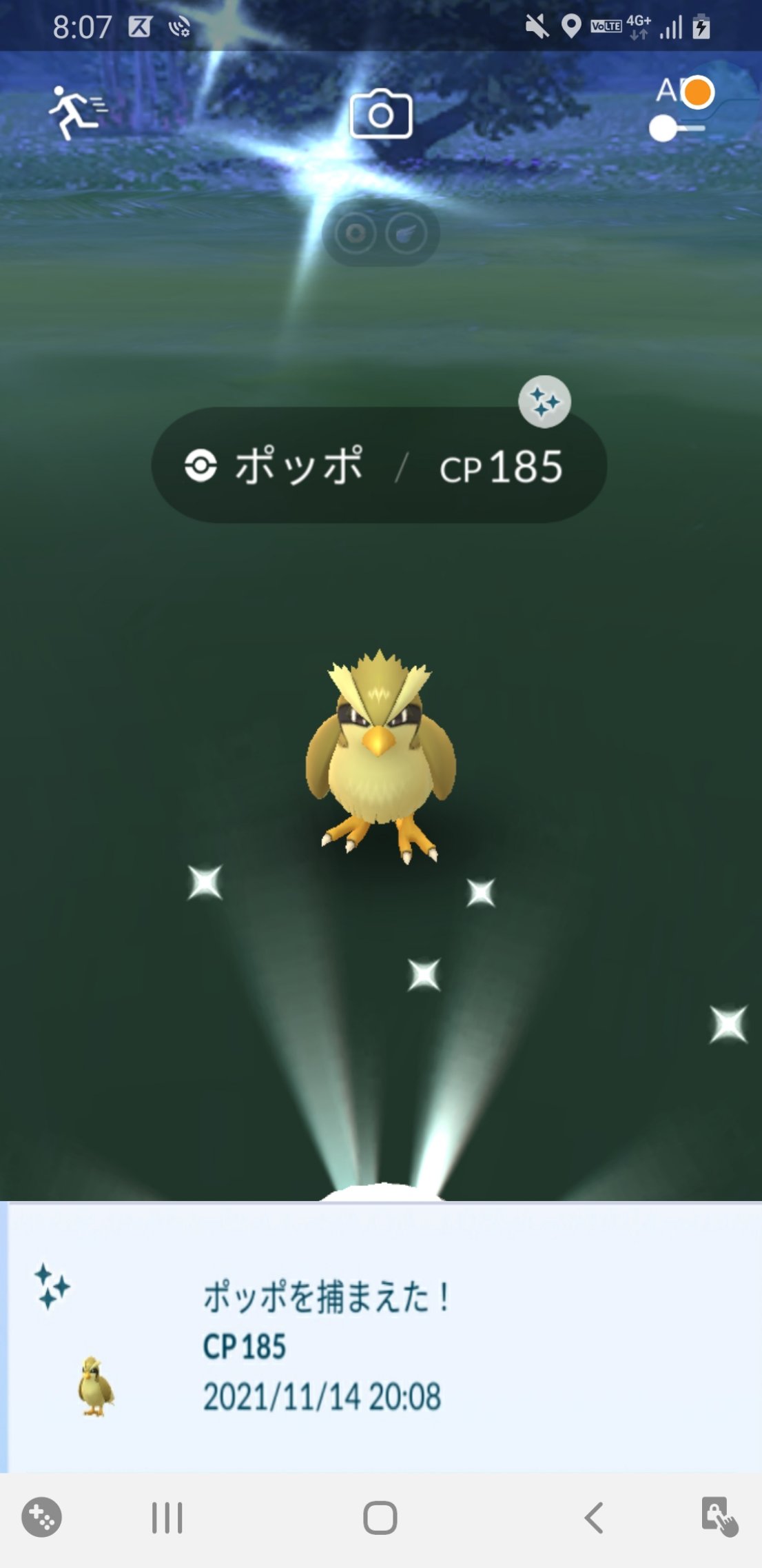 みっしー ポケモンgo神奈川 Miccygo109 Twitter