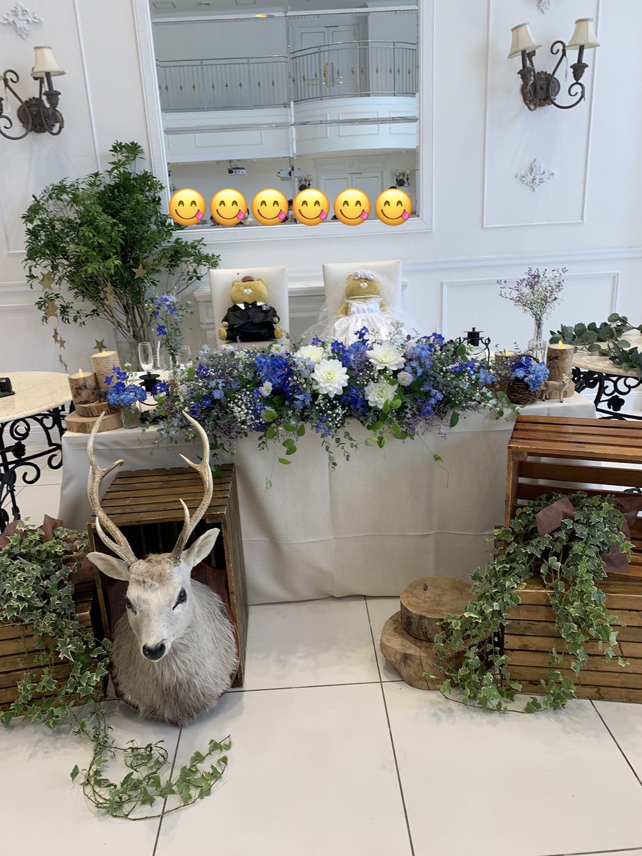 kobu427's tweet photo. @Qrais_Usagi 昨日結婚式がありまして花嫁のお母さんにネコノヒー の衣装を作ってもらいました！
みなさんからとってもかわいいと言ってもらいました！

キューライス先生には
毎日の投稿でいつも元気をもらっています！
応援しています！ https://t.co/c83JIpvGvY