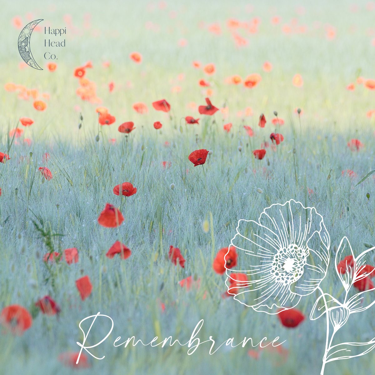 Happi Head Co. tweet media