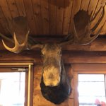 ツイートに含まれる画像