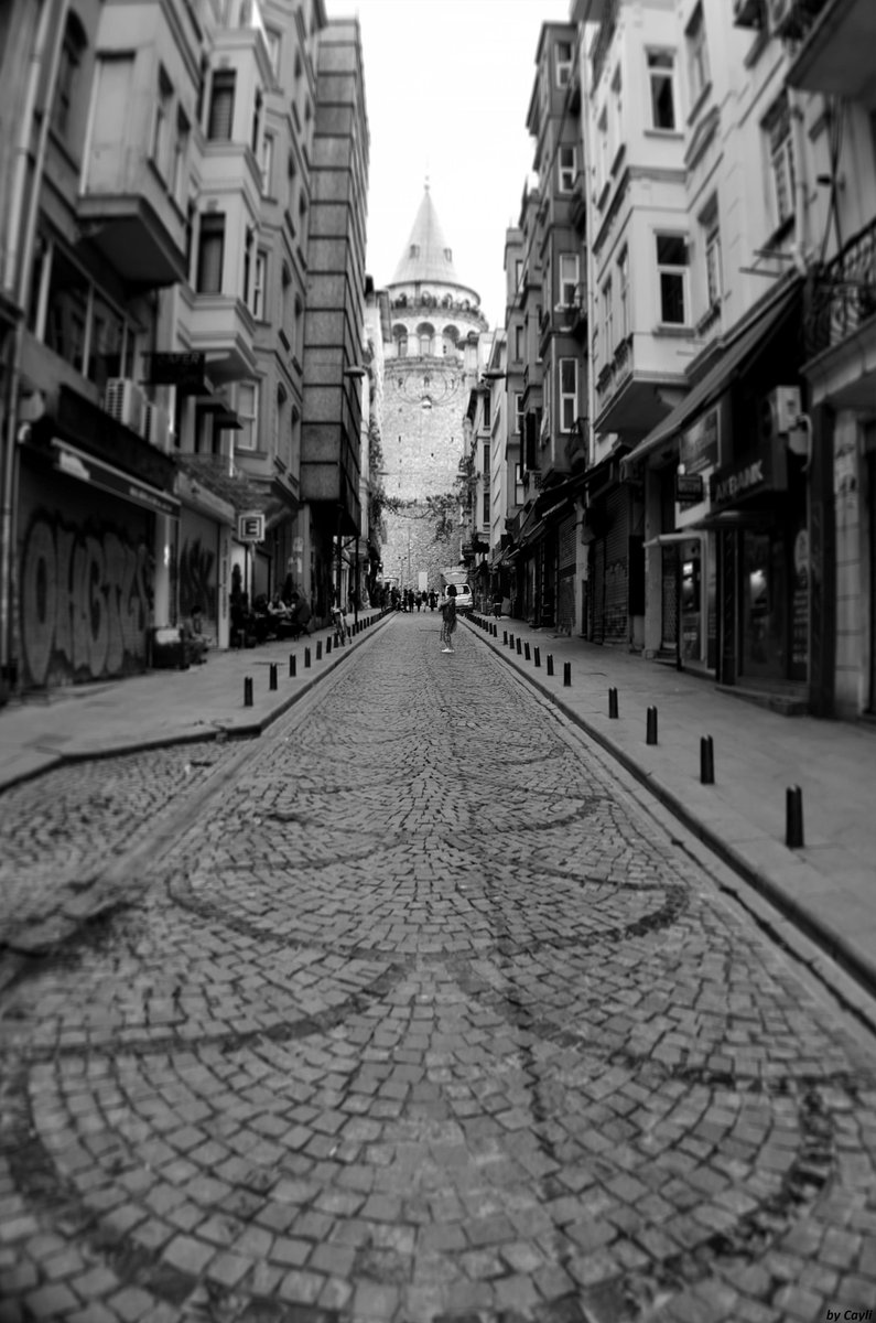Cayli tweet media