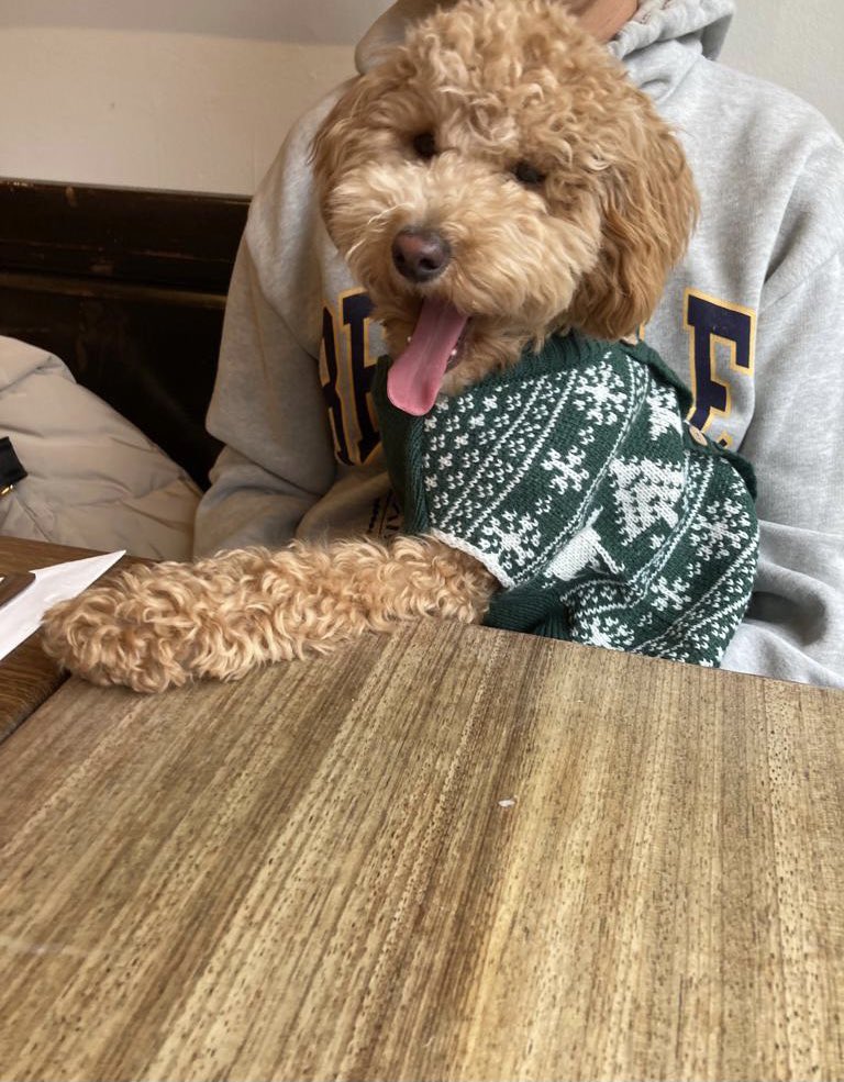Birthday breakfast with my lil bear 🥰❤️