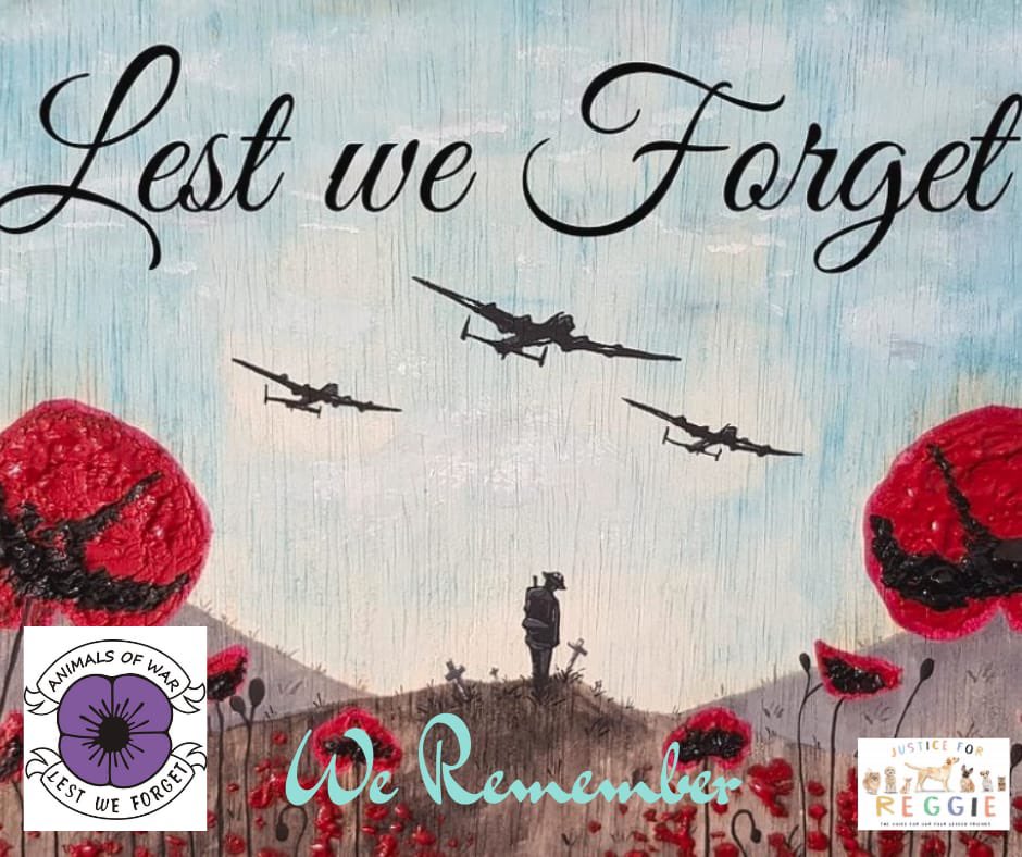 💞🕚The brave men and women who sacrificed their lives💞🇬🇧

#WeRemember #lestweforget2021 #Respect #ThankYouForYourService #freedom #Poppy100 #ukremembers #heros #thatday #wewouldntbehere #thankyou