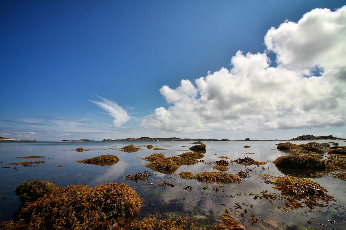 mindthegap365's tweet photo. Morning lovely people. Wishing you all a great Sunday full of smiles and experiences that are good for that precious mind of yours.

What are you all doing today then?

#mentalhealth #photography   Isles of #Scilly https://t.co/qafgaJMOR0