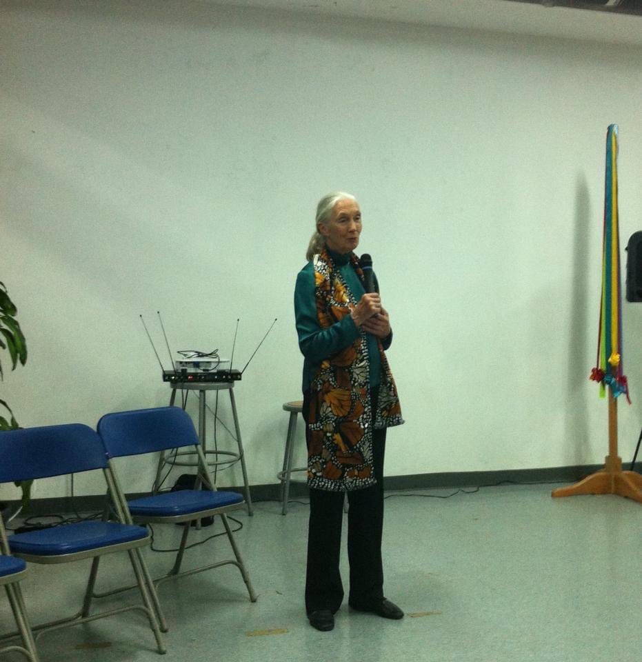 🌴🦧 In another episode of ‘literally anything can happen in a school day’… Meeting Jane Goodall &amp; being inspired to infuse eco-education into everything. Education can be a hard space sometimes BUT there are also moments of magic.🦥🌴#rootsandshoots #ecoeducation #lifeinschools