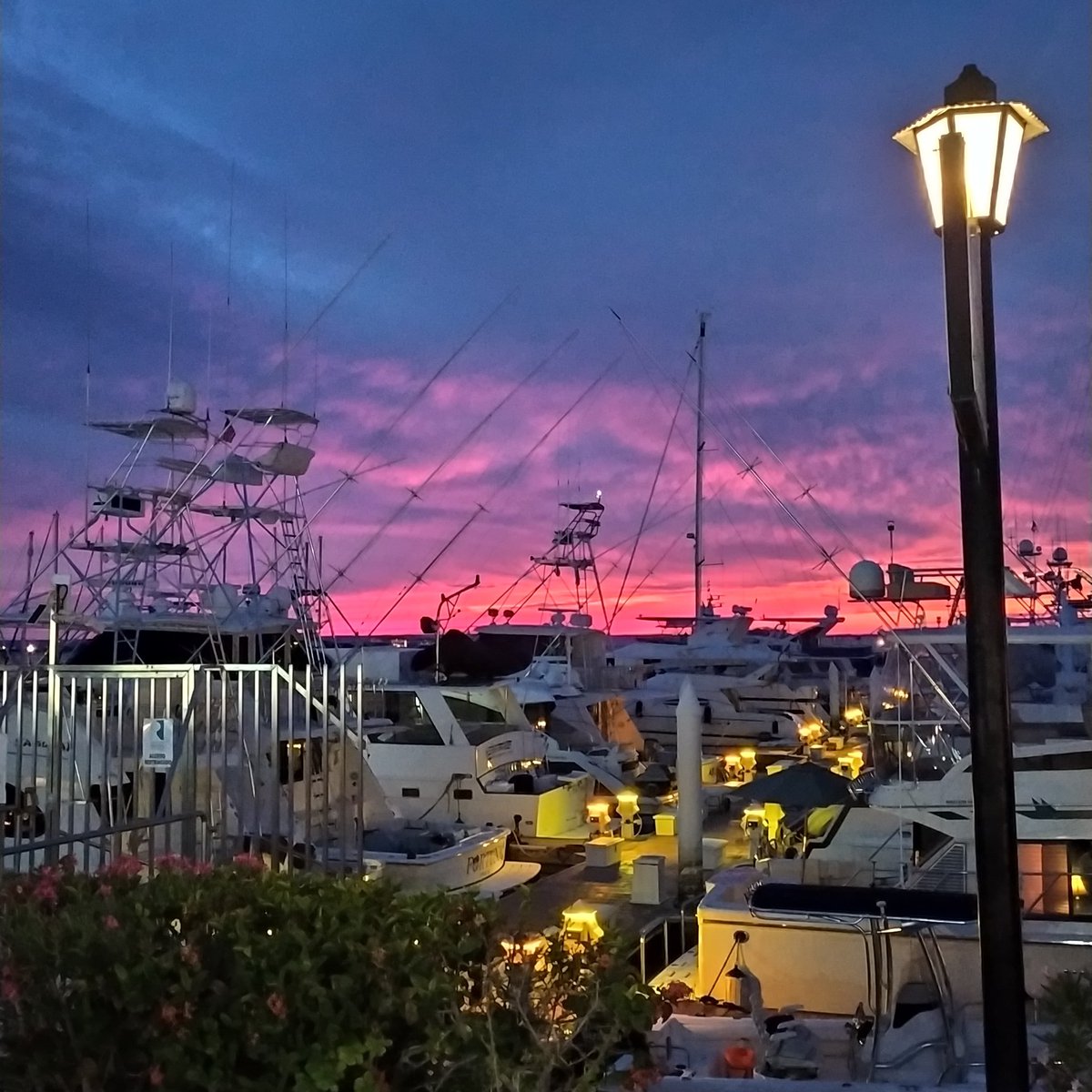 arizontiveros's tweet photo. Entre más nubes tengas en el cielo, más colorido será tu atardecer. (Sajal Sazzad)

#sun  #sunset #sunsetlovers #sunsetphotography #sea #marina #sailingboat #sailing⛵️ #boat #atardecer #lapazbcs #cielo #colores #cielocolorido https://t.co/aRAzqqcUwH