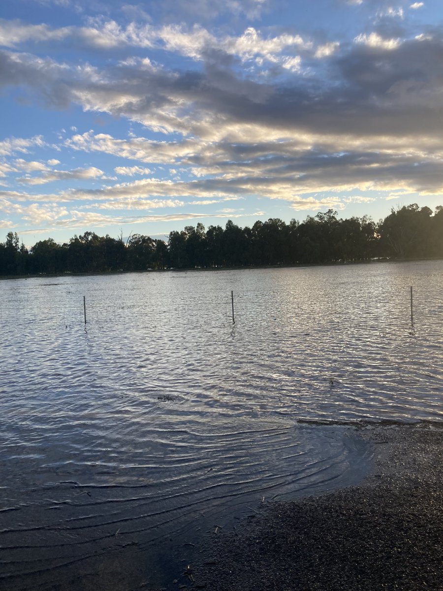 Stuart Gordon tweet media