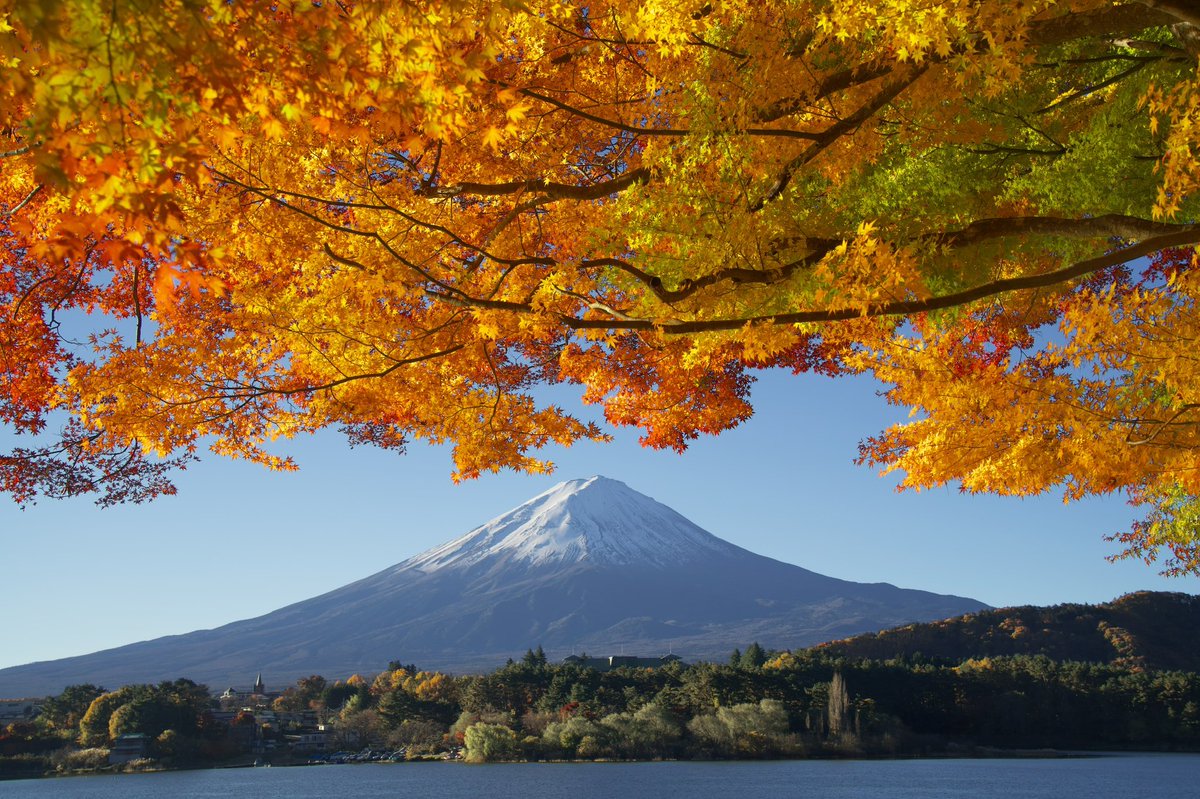 zuma_ike's tweet photo. 富士山と紅葉

#富士山 #α7III #ファインダー越し私の世界 #紅葉 https://t.co/zQEMh05Jny