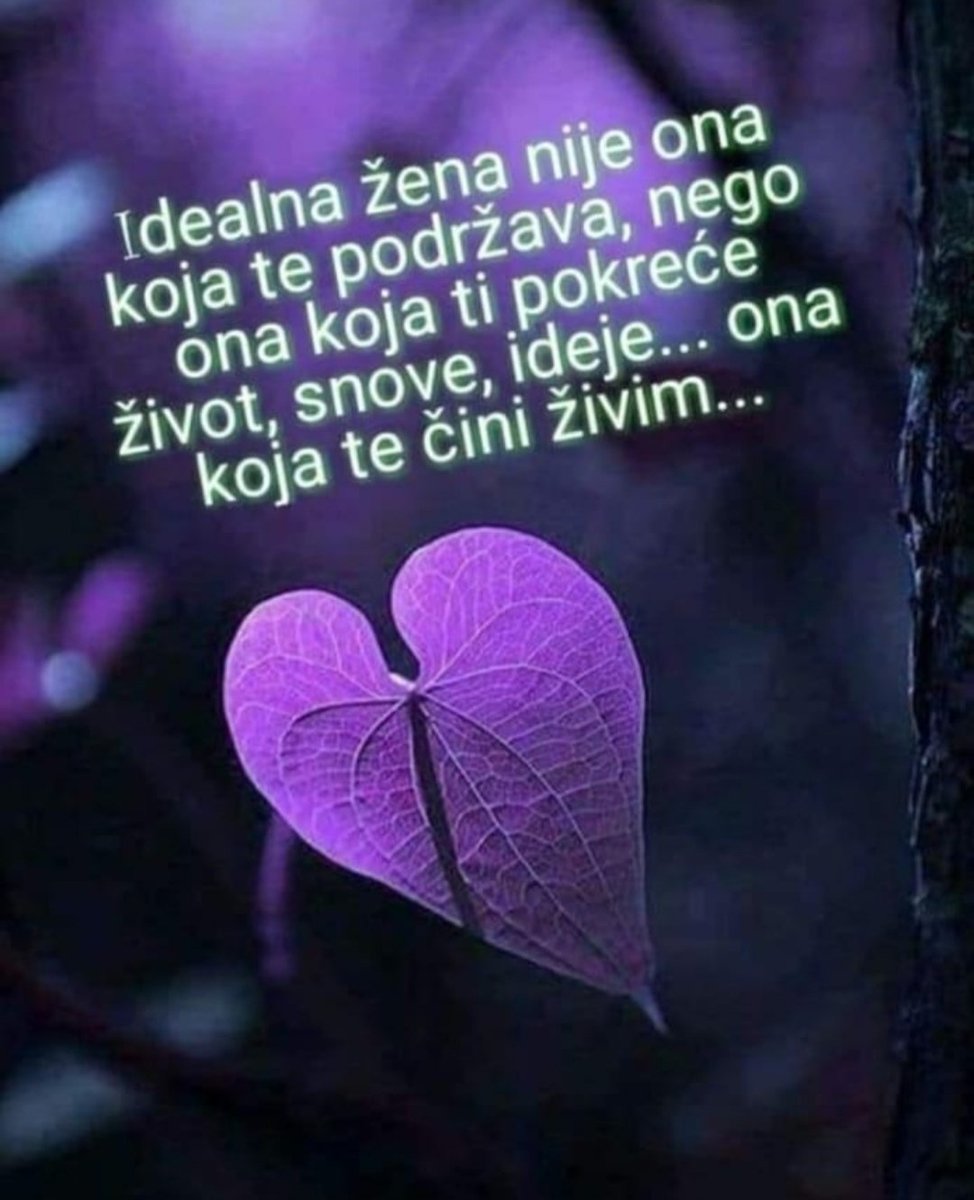 edzevit_tutic's tweet photo. https://t.co/KLfCgZBWgY