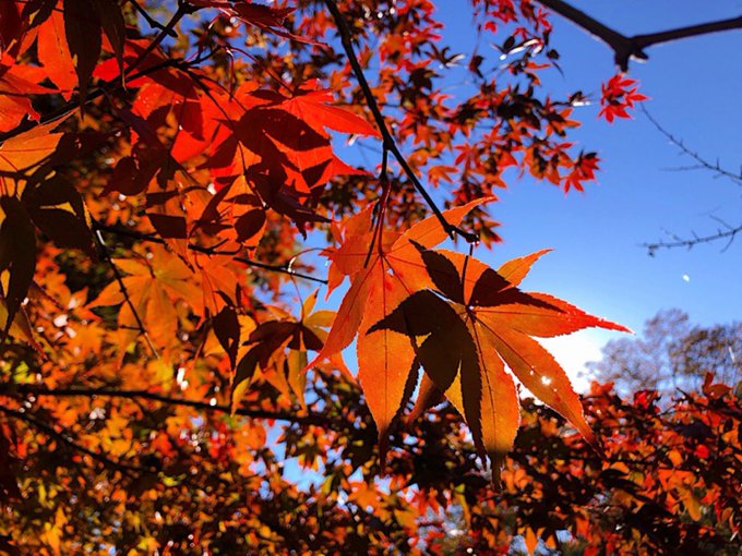 久しぶりの山登り行ってきました🍁 