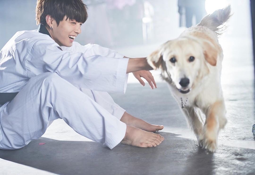 dreamjeons's tweet photo. jungkook, #1 dog person 🐶 https://t.co/KAAvXRdWAH