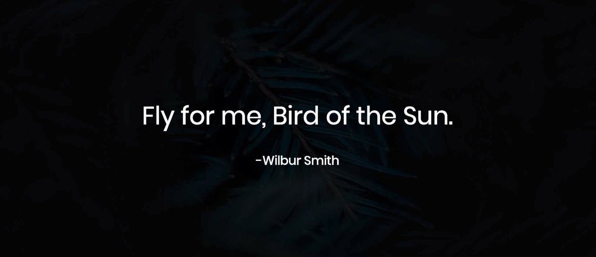 1900nicorix's tweet image. See you later #WilburSmith finally you can fly in the sun