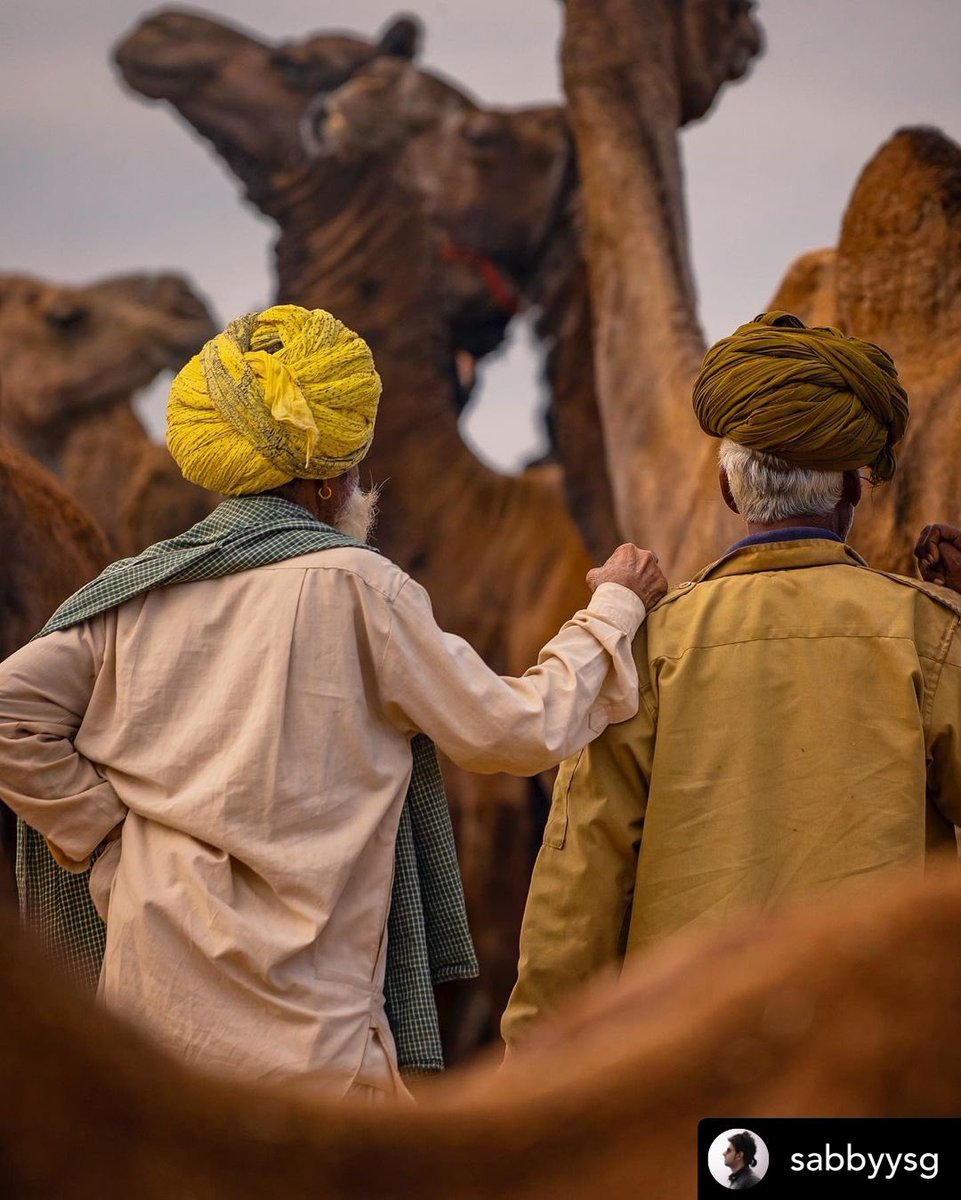 Hues of #Pushkar!

Shot by #SourabhGandhi 

Golden days of Pushkar, Rajasthan, India

#India #bbctravel #natgeoyourshot #PushkarMela #rajasthan #camelfair