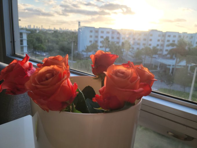 Thinking of Miami sunrises with you 🏵 https://t.co/0GWOPM2thJ