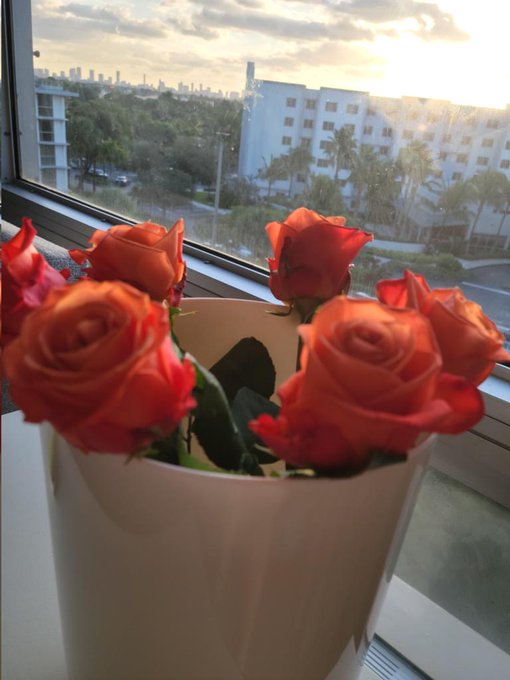 Thinking of Miami sunrises with you 🏵 https://t.co/0GWOPM2thJ