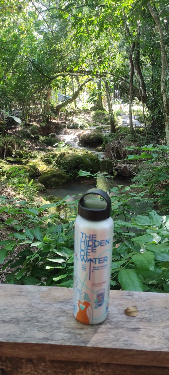 The sound of water is the sound of life! Waterfalls in Chiapas Mexico #Diamondgogreen #MyDiamondbottle #theglobetrotterbottle #DiamondResorts #LifeatDiamond #plasticfree #RoyalTenerifeCountryClub @diamondresorts @wearewater @Rtccsvc_luisa @fabiannavarrod @NoemiG_RC