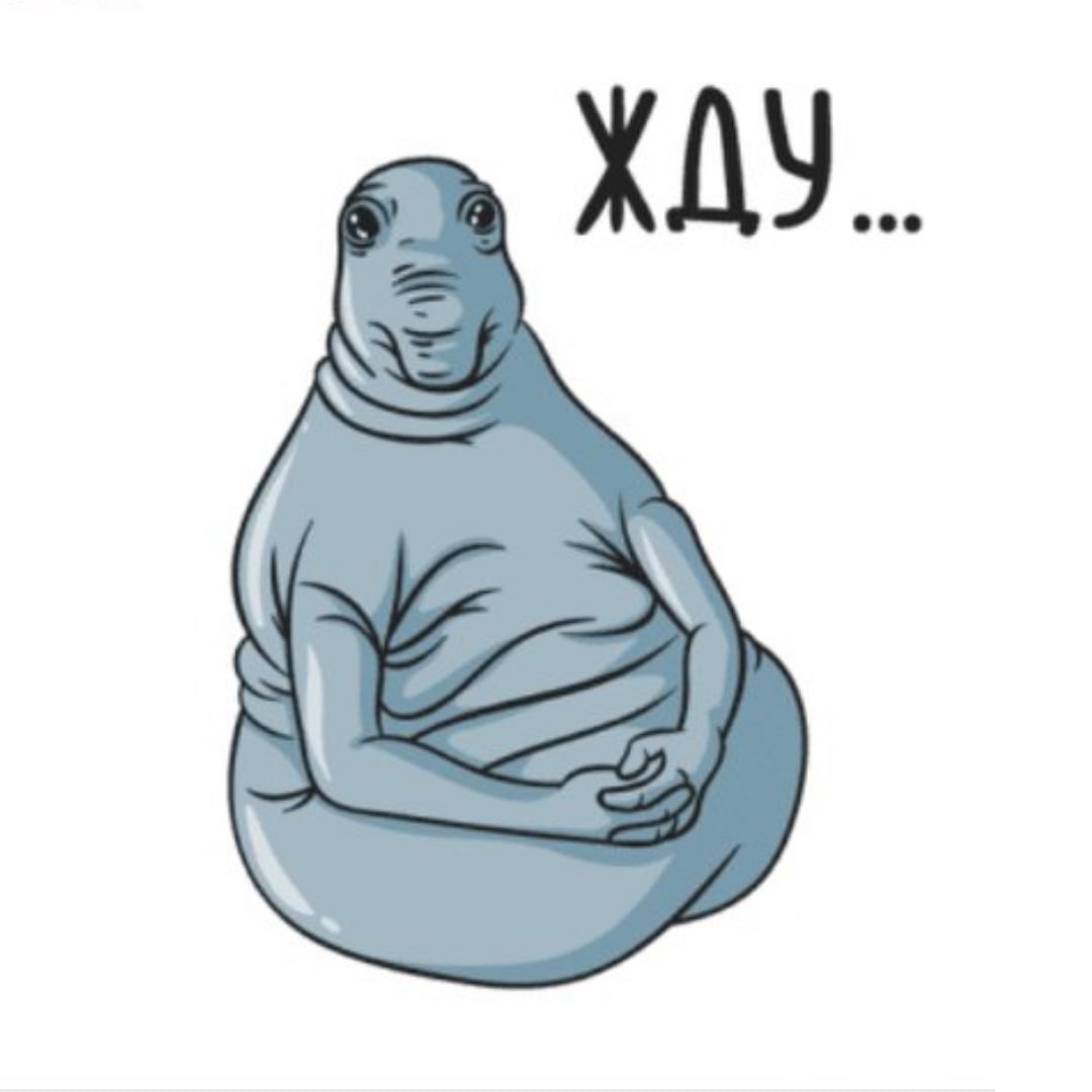 Ждун приколы
