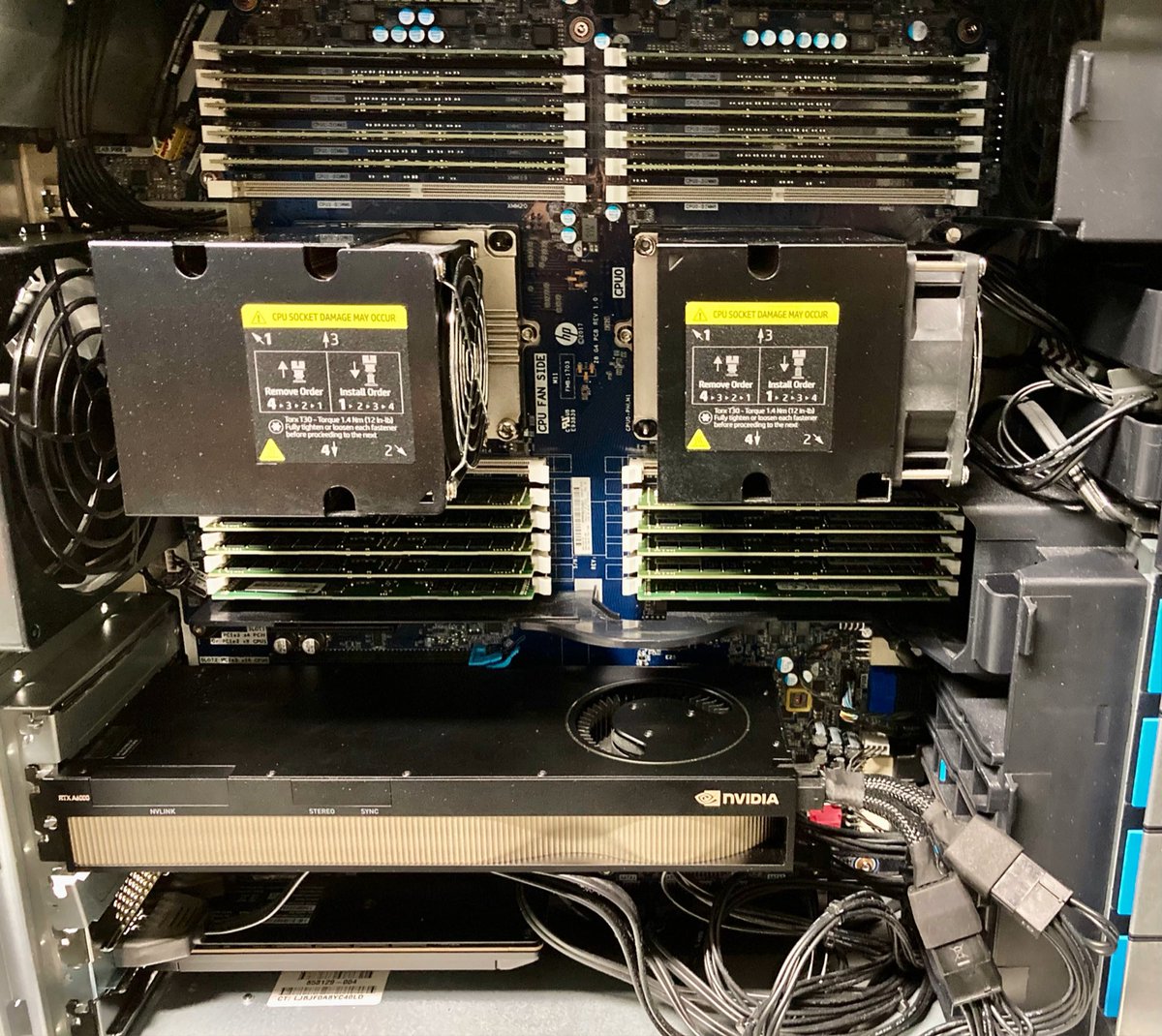 Tiny Human Brains tweet media