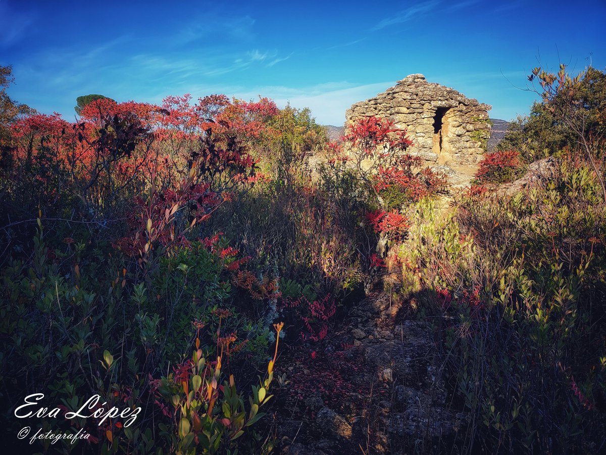 EvaM_Lopez's tweet photo. #LosZumaques
#AlcaláLaReal #Jaén #Andalucía #ruta #sendero #vereda #camino #zumaques #otoño🍁 #Noviembre #paisaje #landscape #campo #senderismo #naturaleza https://t.co/rAaAEFuvRq