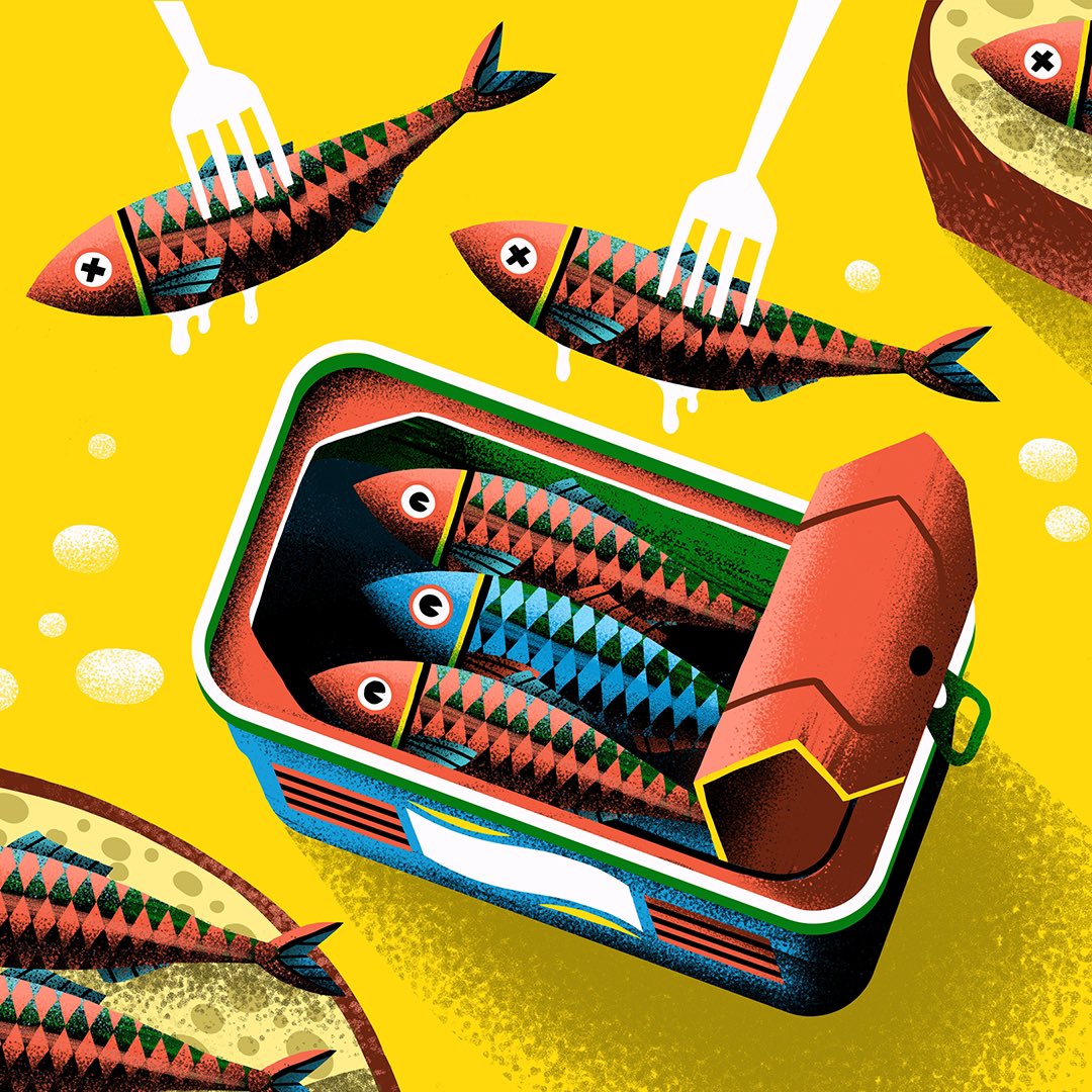 Ramón D. Veiga tweet media