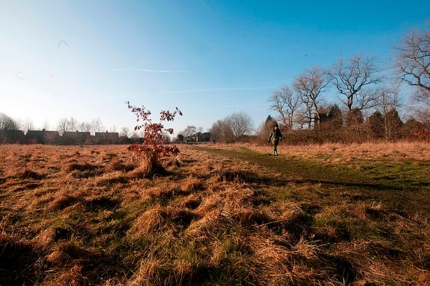 johnleechmcr's tweet photo. Labour hold 94/96 councillors in Manchester. The destruction of space like Ryebank Fields is not going to be solved by electing another Labour councillor.

Lib Dems are the only party that have beaten Labour in Chorlton. Send a message &amp; save Ryebank Fields: Vote @RosieHughesMcr https://t.co/gCh5ogug0J