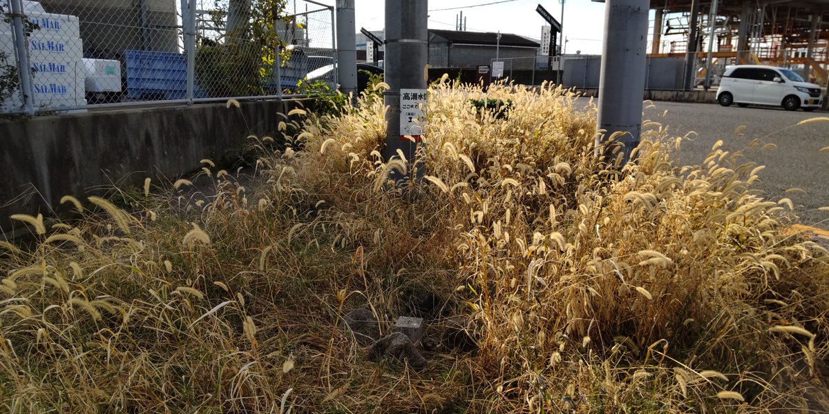 startrek_panda's tweet photo. コロナ禍で自粛生活。ジャスト１年ぶりの #三角点 (地蔵浜南・地蔵浜北)訪問。 #関西文化の日   #きしわだ自然資料館  へお出かけつでに訪問 https://t.co/Nr73iCk5eg