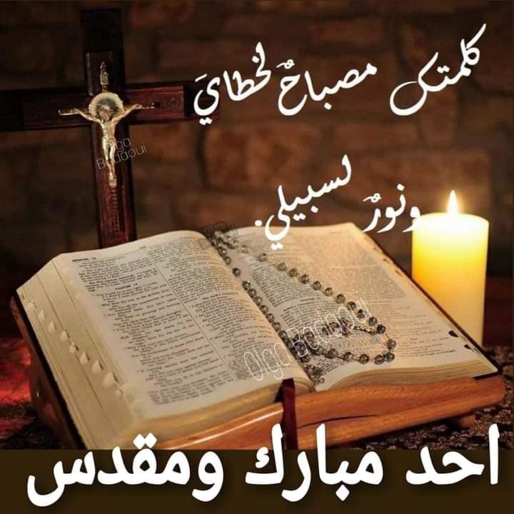 FerasBird's tweet photo. @NizarFrancis1 #صباح_الخير #أحد_مبارك https://t.co/JFGcpxii6q