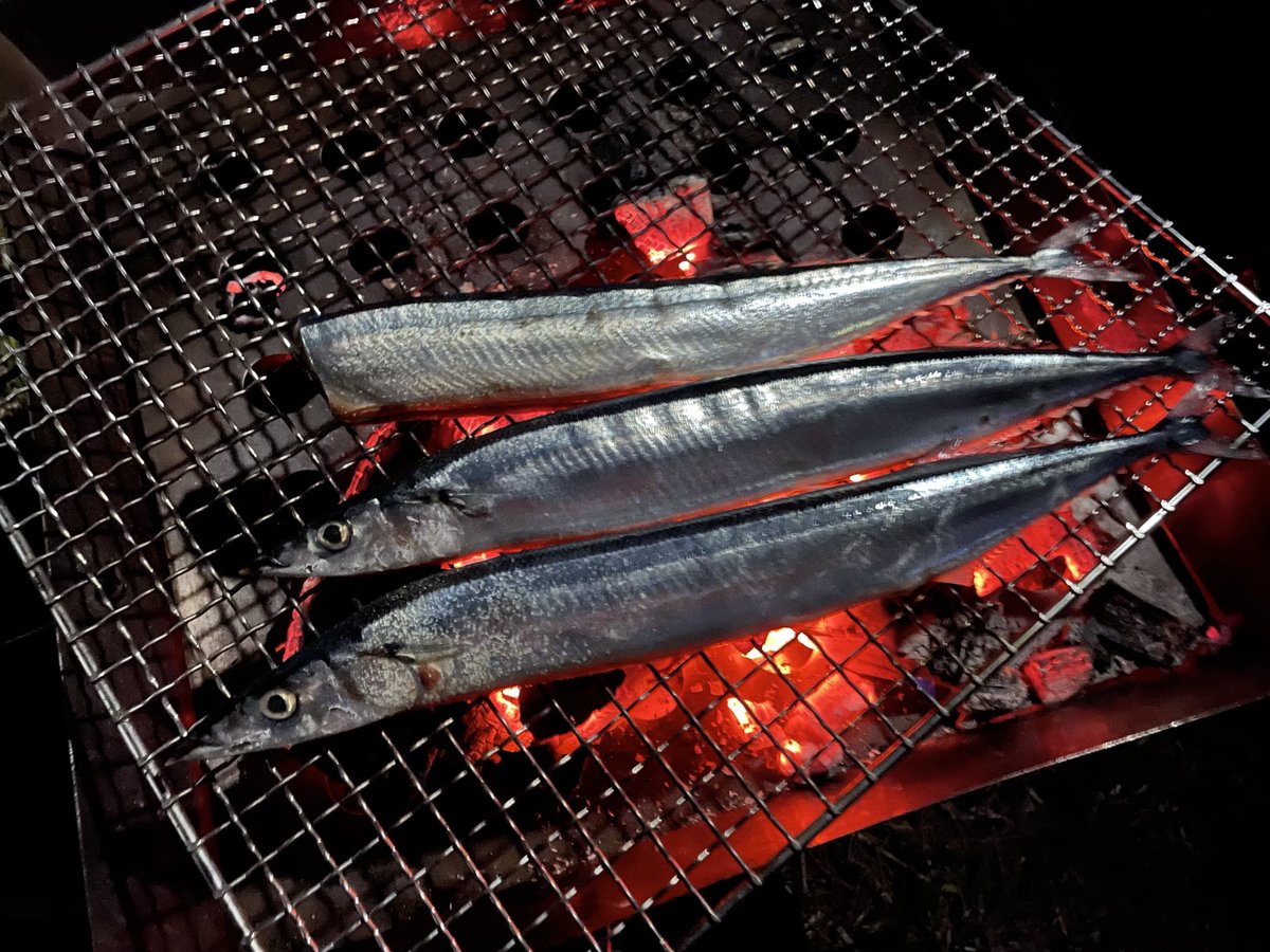 ymt5860's tweet photo. 秋キャンプならではの秋刀魚を炭火で焼いて外で食べる。お供はMumm Coldon Rouge 。最高過ぎると言いたいところだが、箸を忘れるという大失態🥲
初めてフォークで秋刀魚を食べています。 https://t.co/SQvTg7huYX