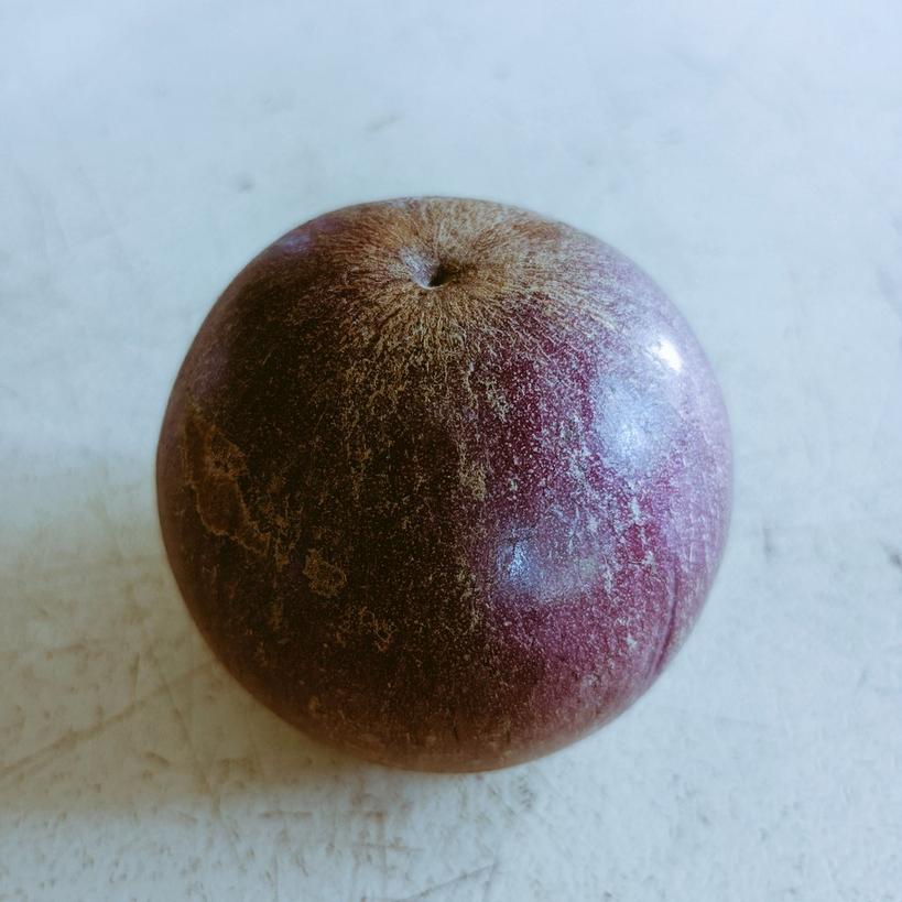 スターアップル Twitter Search Twitter