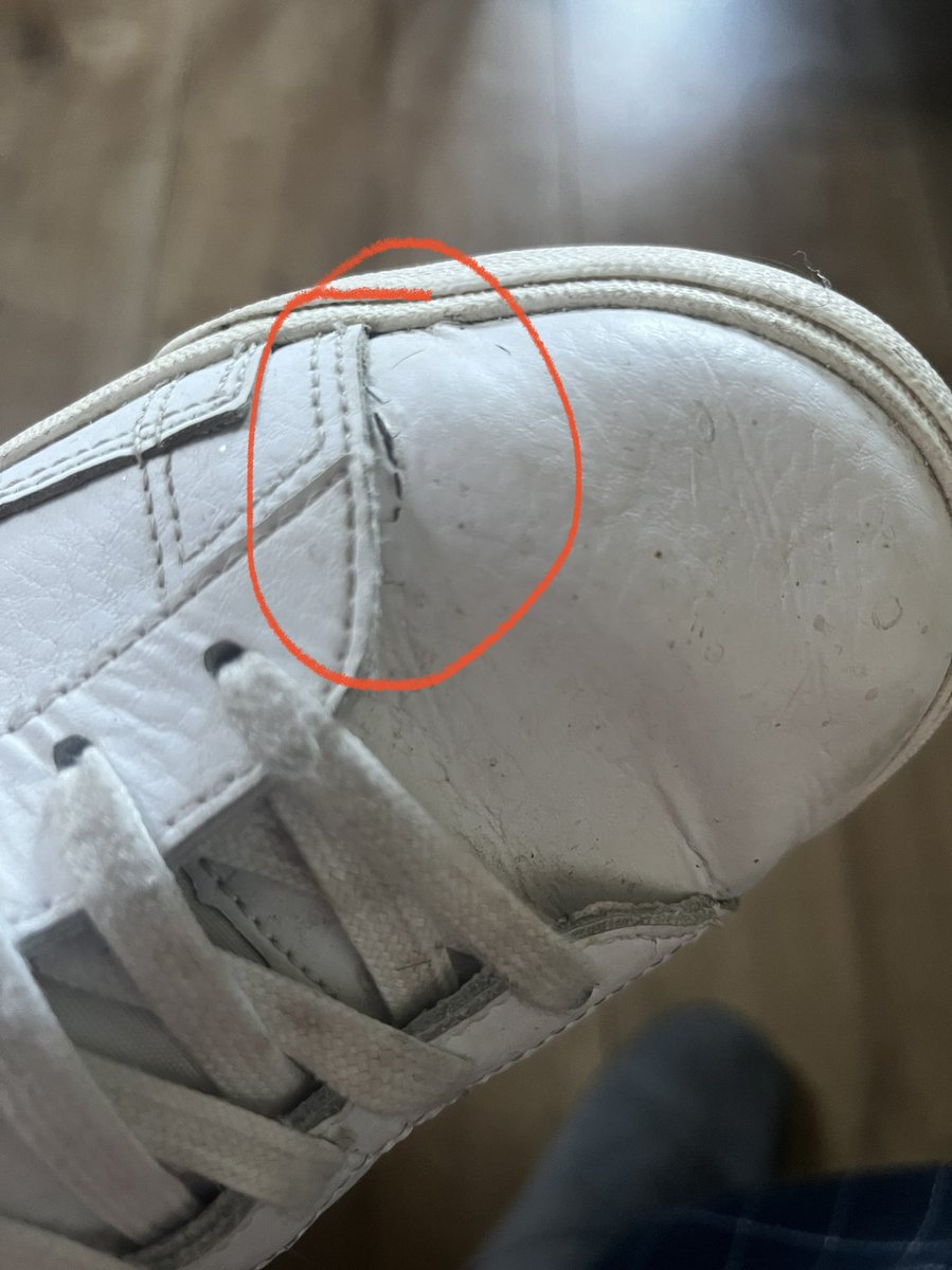 Jorge Avila tweet media