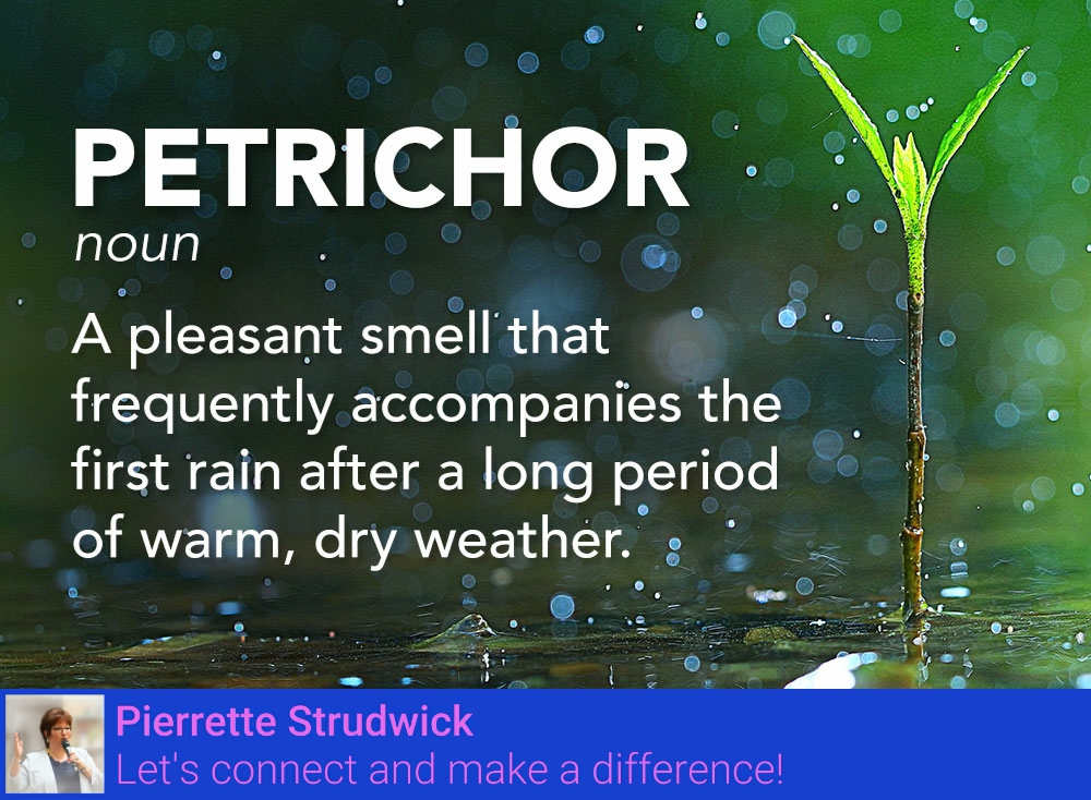 PierStrudwick tweet picture