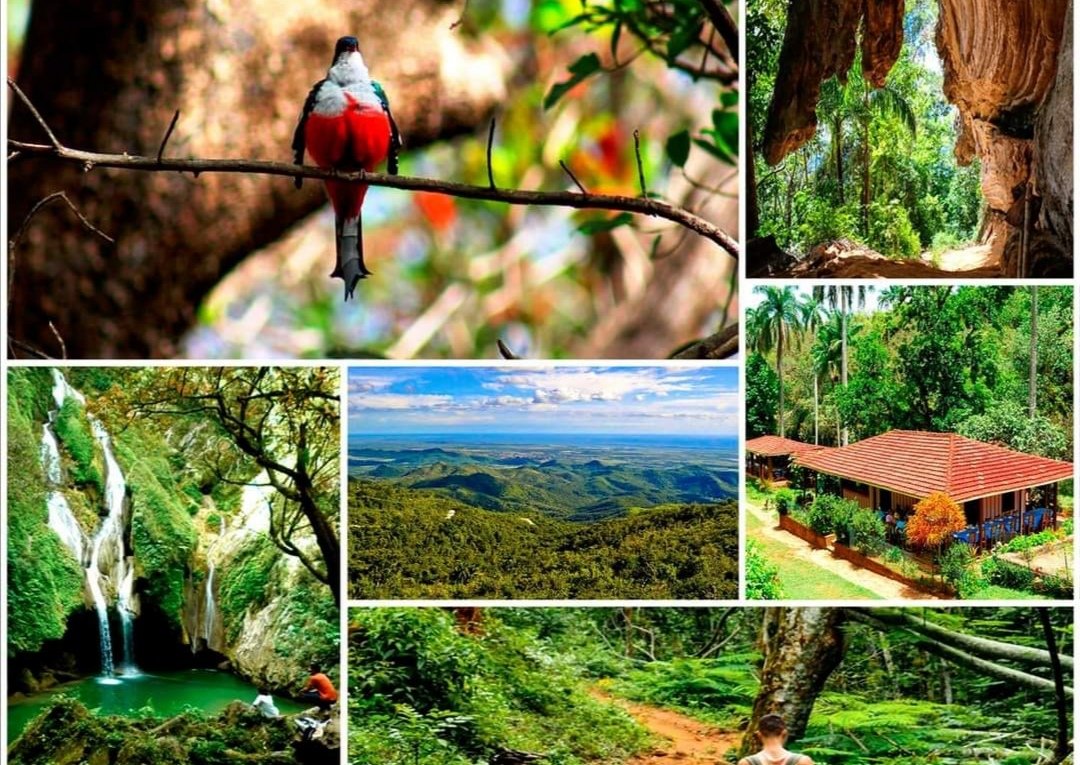 TurismoCubaRoma's tweet photo. Piú vicino a rincontrarsi
Il Paesaggio #Naturale Protetto Topes de Collantes è un'immensa area protetta di #Cuba,situata nella parte centrale dell'arcipelago,in una zona conosciuta come #TopesdeCollantes, all'interno del gruppo montuoso Guamuahaya.#CubaVive @JoseCarlosRRuiz https://t.co/8uJdvgp2EB