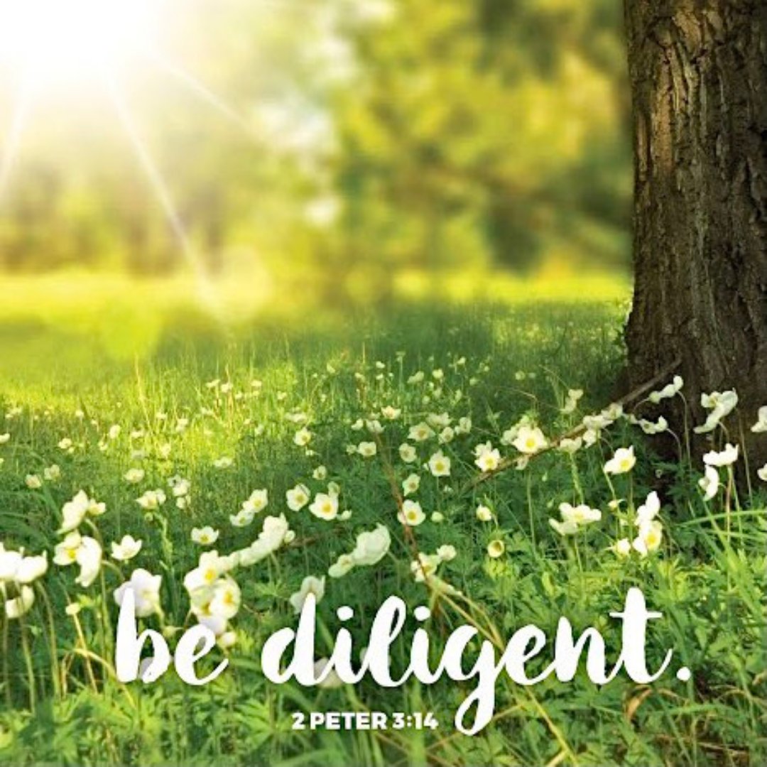 "2 Peter 3:14 — Therefore, beloved, since you are looking forward to these things, be diligent to be found spotless, blameless, and at peace with Him."
.
.
.
#qotd #Godfirst #wisdom #strength #relationship #Jesus #shift2021  #diligent #bediligent