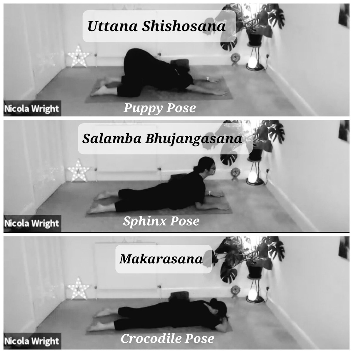 nicolalwright's tweet photo. Join me on Wednesday 17th Nov at @sinc_innovation for 45min Vinyasa Gentle Flow Yoga class. Available to all SInC members. Book at https://t.co/8BDMNhHrWs #yoga #relax #whynot #wellbeing https://t.co/WWoCdc2pf7