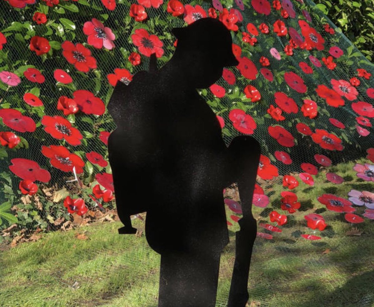 thatwouldbmoi's tweet photo. Remembrance Sunday is a time for us all to stop, reflect, and remember those millions of people from Britain who have kept us safe through their service and sacrifice.

We remember them and their families today.
 #lestweforget🌺 #RemembranceSunday https://t.co/3Sy5a0z49c