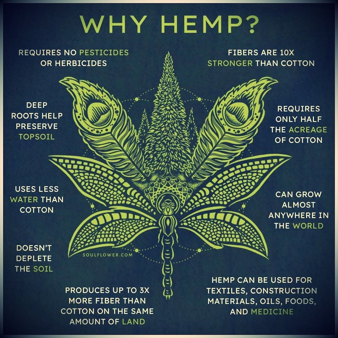 CannaWorld (@cannaworldsite) on Twitter photo 