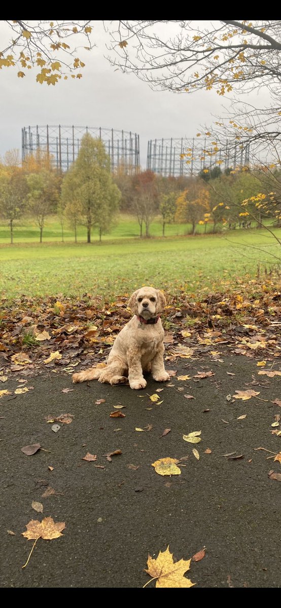 Lisa Sinco tweet media