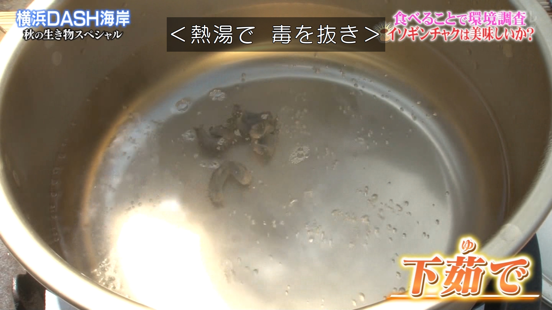 ゆくブラっ 下茹ででホルモンのようにコリコリになったイソギンチャク 鉄腕dash T Co O2teoem1fw Twitter ゆくブラっ 下茹ででホルモンのようにコリコリになったイソギンチャク 鉄腕dash T Co O2teoem1fw Twitter