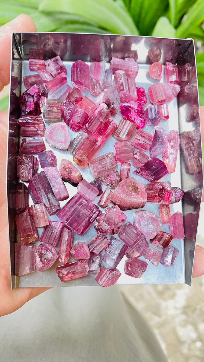 folkertreasure's tweet photo. Natural pink tourmaline rough crystals 250 grams available in very good price
#geologyrocks #gemsrough #minerals #mineralsforsale #minerals #gems #gemstone #specimen #blacktourmalinespecimens #hunagemspecimens #pinktourmaline #tourmaline #multitourmaline https://t.co/nFf1KzeE8h