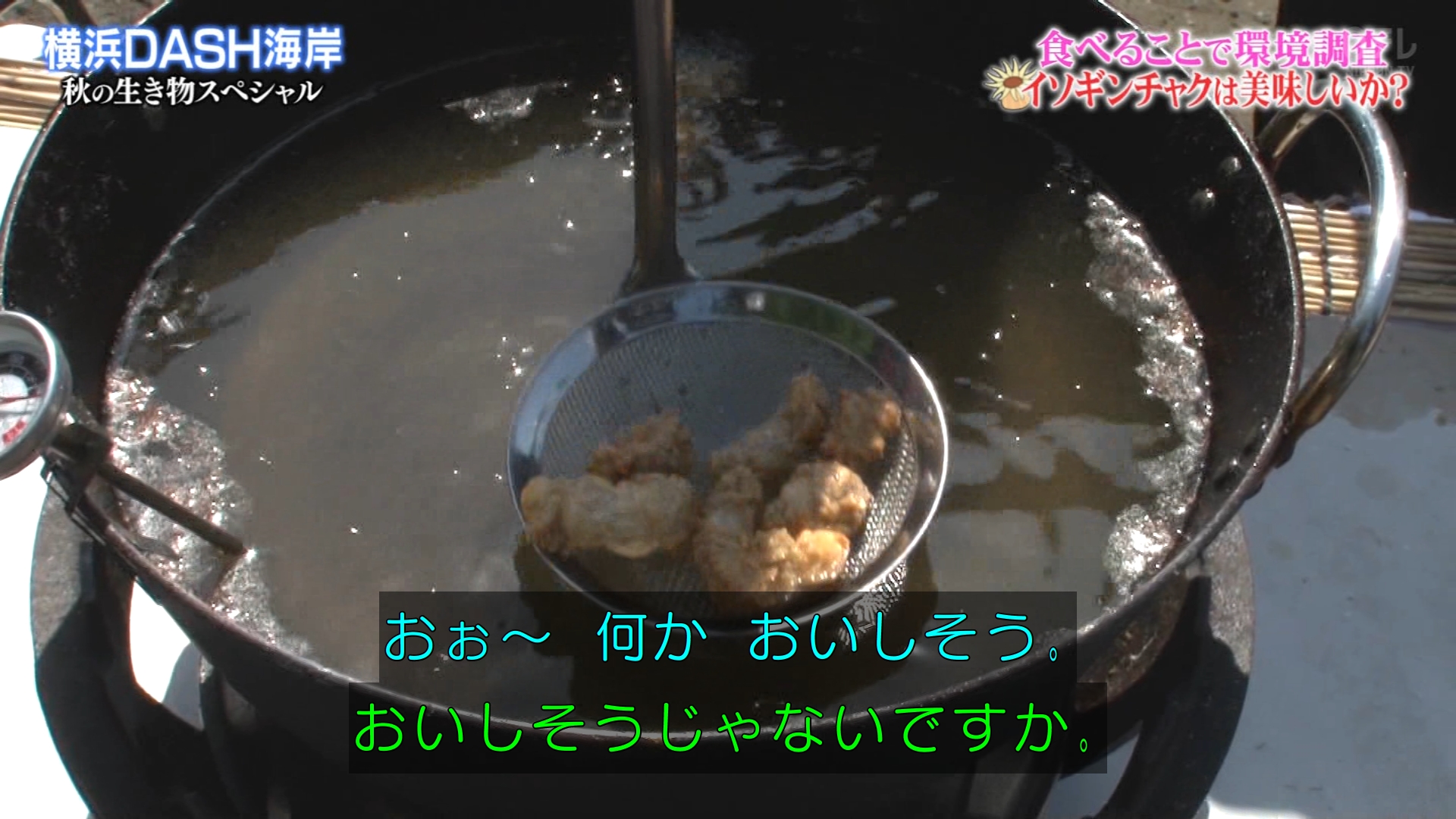 ゆくブラっ お上品なイソギンチャクのから揚げが完成 鉄腕dash T Co Ktmyz8wedl Twitter ゆくブラっ お上品なイソギンチャクのから揚げが完成 鉄腕dash T Co Ktmyz8wedl Twitter