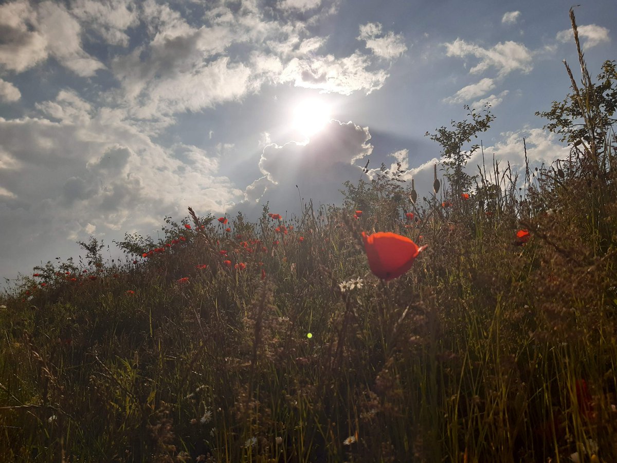 Lest we forget #RemembranceSunday
