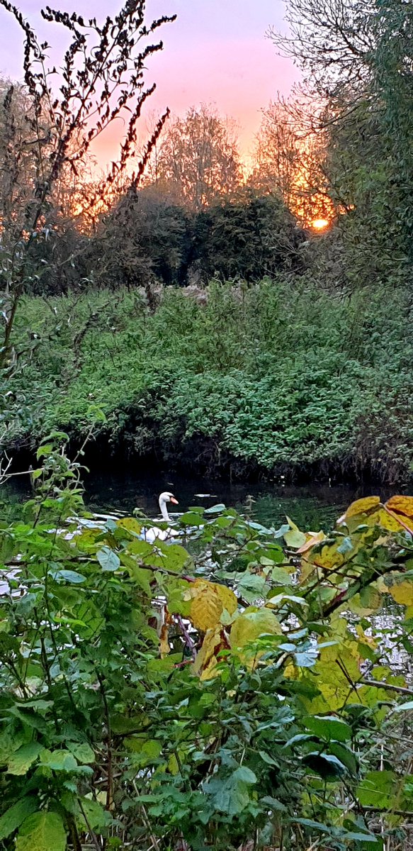 Alison Flanders tweet media