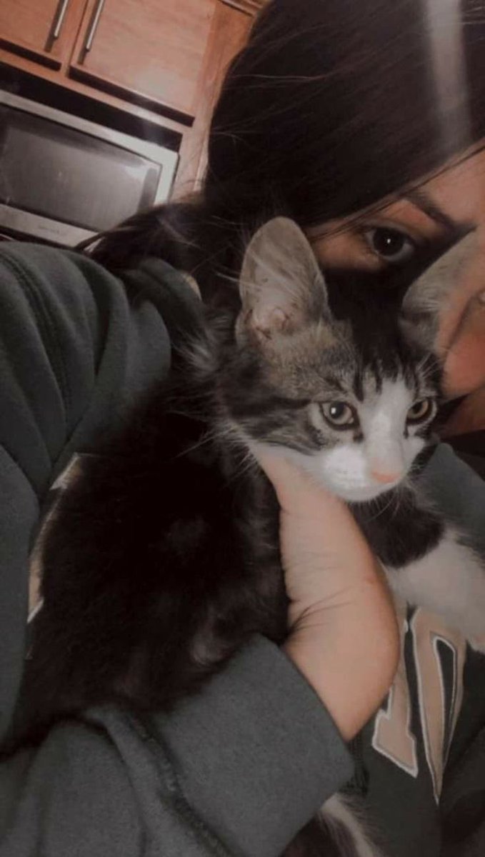 Sezginn4Basak's tweet photo. yaaa minnosa da bakinn 🥺🥺 https://t.co/SPco38dlH9