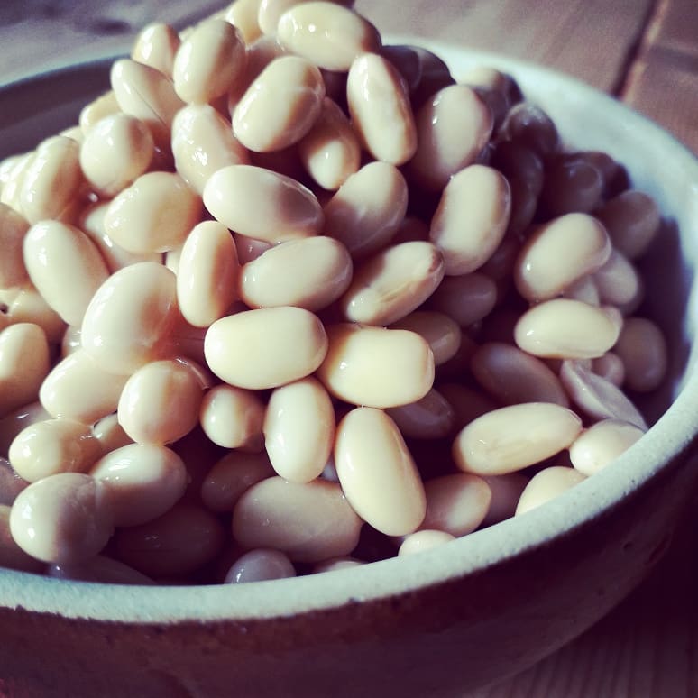 📢 Calling #Lincolnshire chefs!
Are you making amazing dishes using #British grown #pulses? We want to hear from you
Please RT + tag excellent #restaurants!
<a href="/ChefRachelGreen/">RachelGreen</a> @powerofrightnow <a href="/DoddingtonHall/">Doddington Hall</a> <a href="/TasteLincsMag/">Good Taste Lincolnshire</a> <a href="/TasteLincs/">Taste Lincolnshire</a> <a href="/TLincolnshire/">Taste of Lincolnshire</a> <a href="/TowerHotelLN1/">The Tower Hotel</a> <a href="/saltedorangefc/">Salted Orange</a>