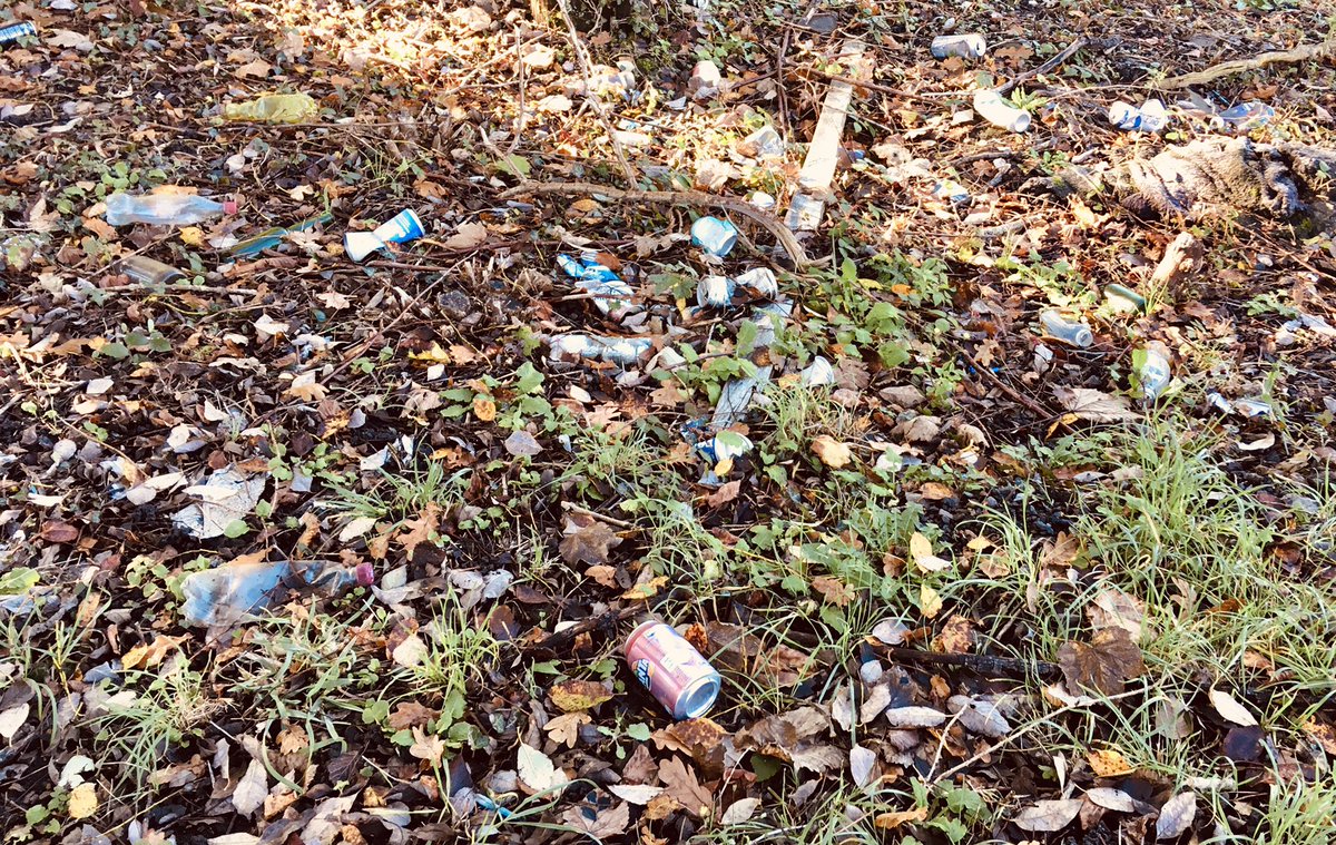 Oldest daughter came for walk with me in Bargoed Woods today. We decided to take our litter grabber & do a litter pick. 1 bag full of bottles, cans, face masks & general rubbish!! 😩 really wish folks would NOT drop litter @NatResWales @CaerphillyCBC #dontlitter #litterpick